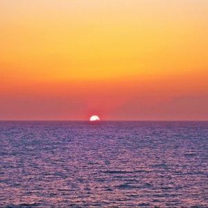 Meet your Posher, Leilani